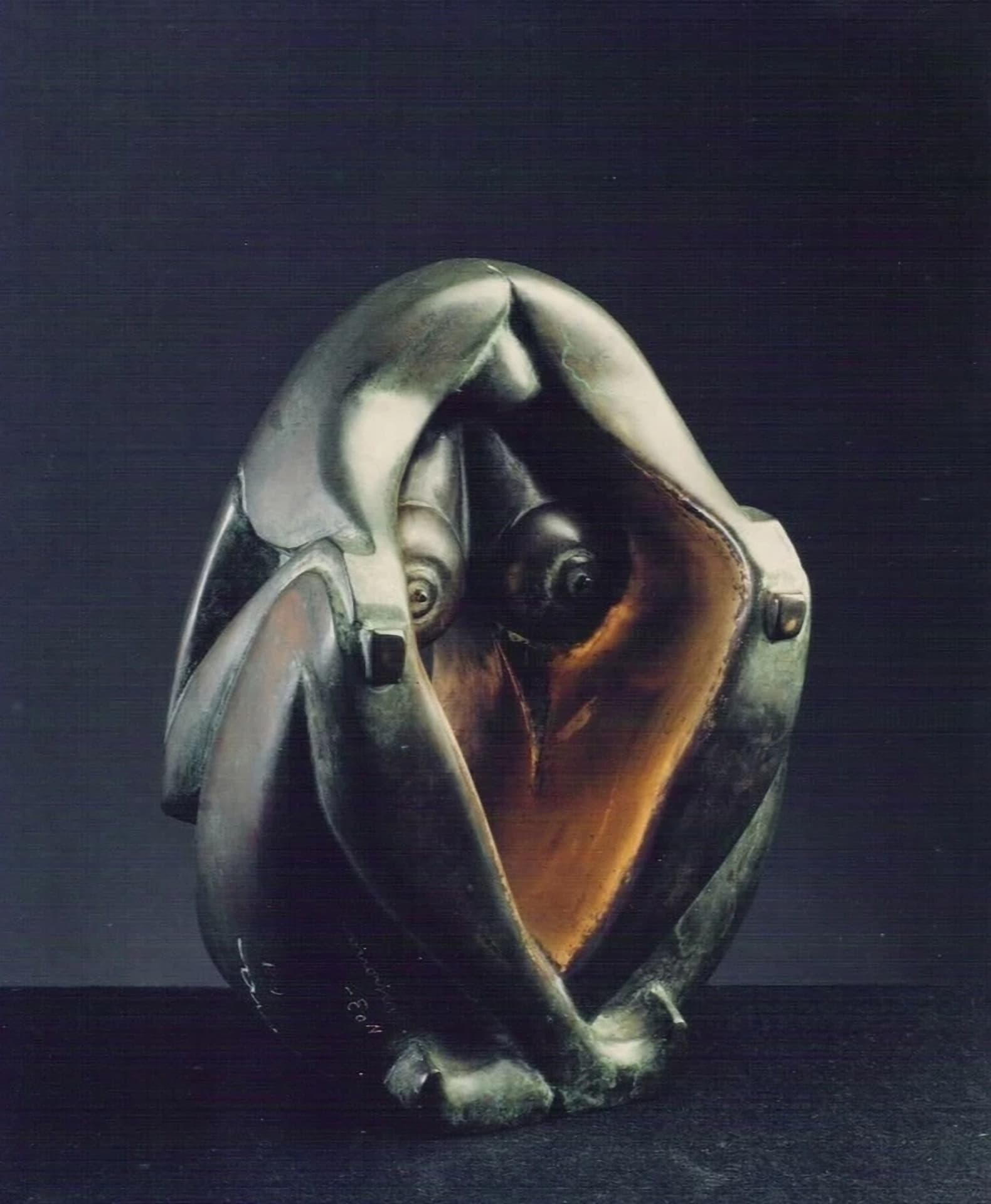 Mujer Ranita, fotografía frontal